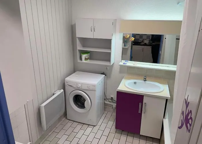 Appart:residence Avec Piscine * Agde